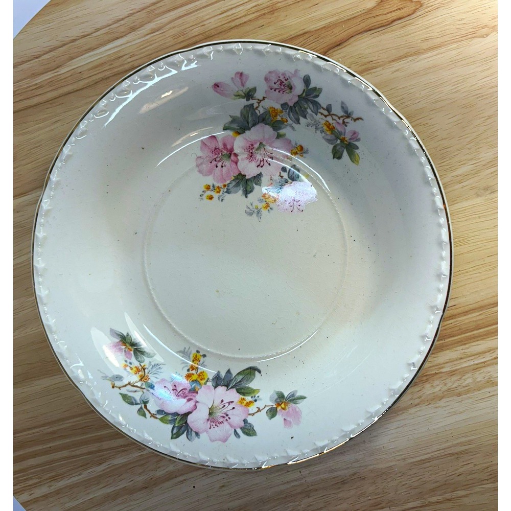 Vintage Crooksville China Co Floral Art Pottery Ceramic Bowl 8in White Gold Rim